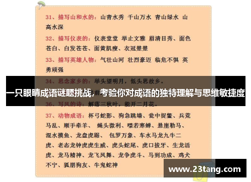 一只眼睛成语谜题挑战，考验你对成语的独特理解与思维敏捷度